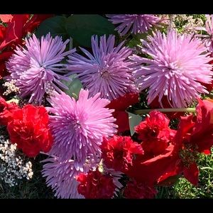 Meet your Posher, Marie